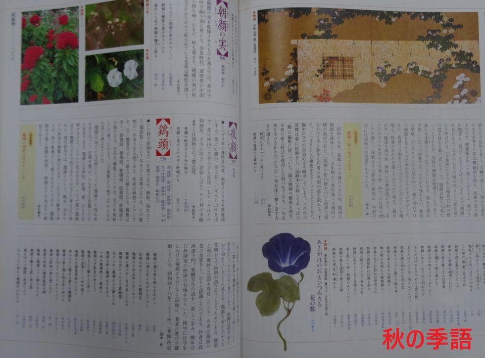 カラー版　新日本大歳時記 全5巻