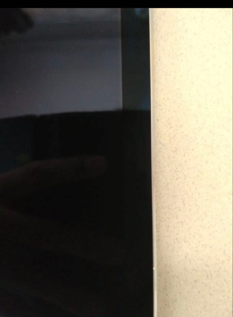 【 最終値下げ】Apple iPad Pro 9.7インチ