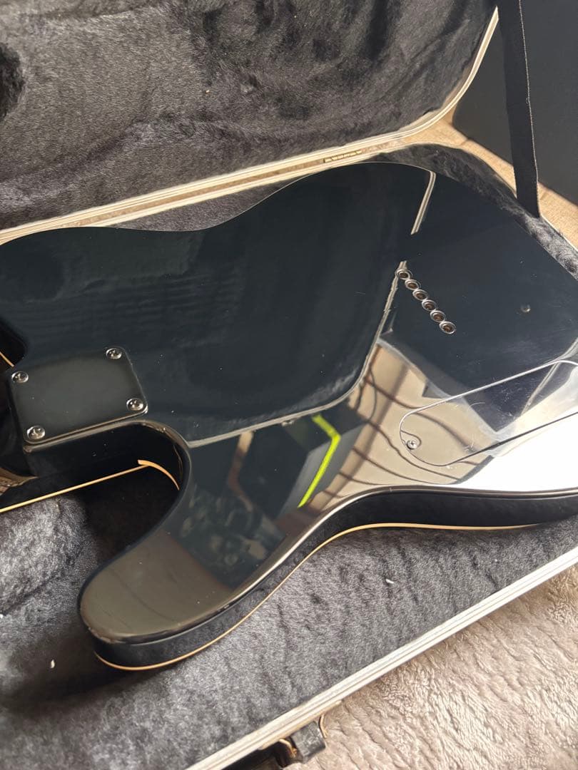 激レア品！FERNANDES TEJ Custom イベント出展品