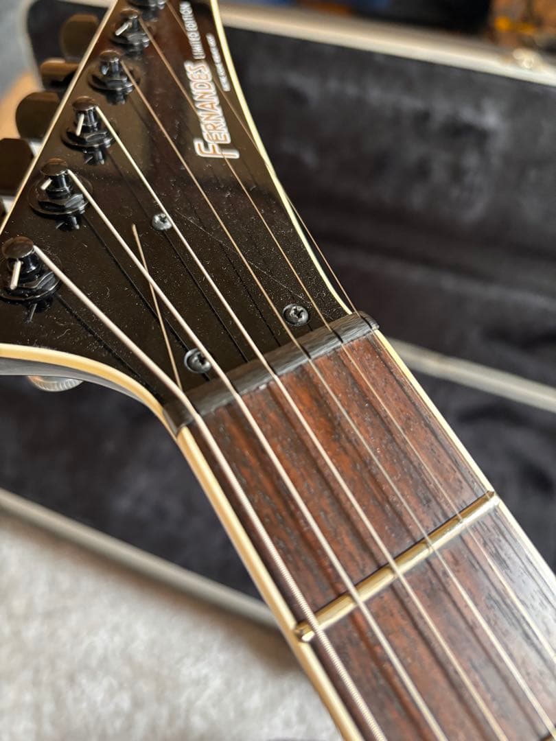 激レア品！FERNANDES TEJ Custom イベント出展品