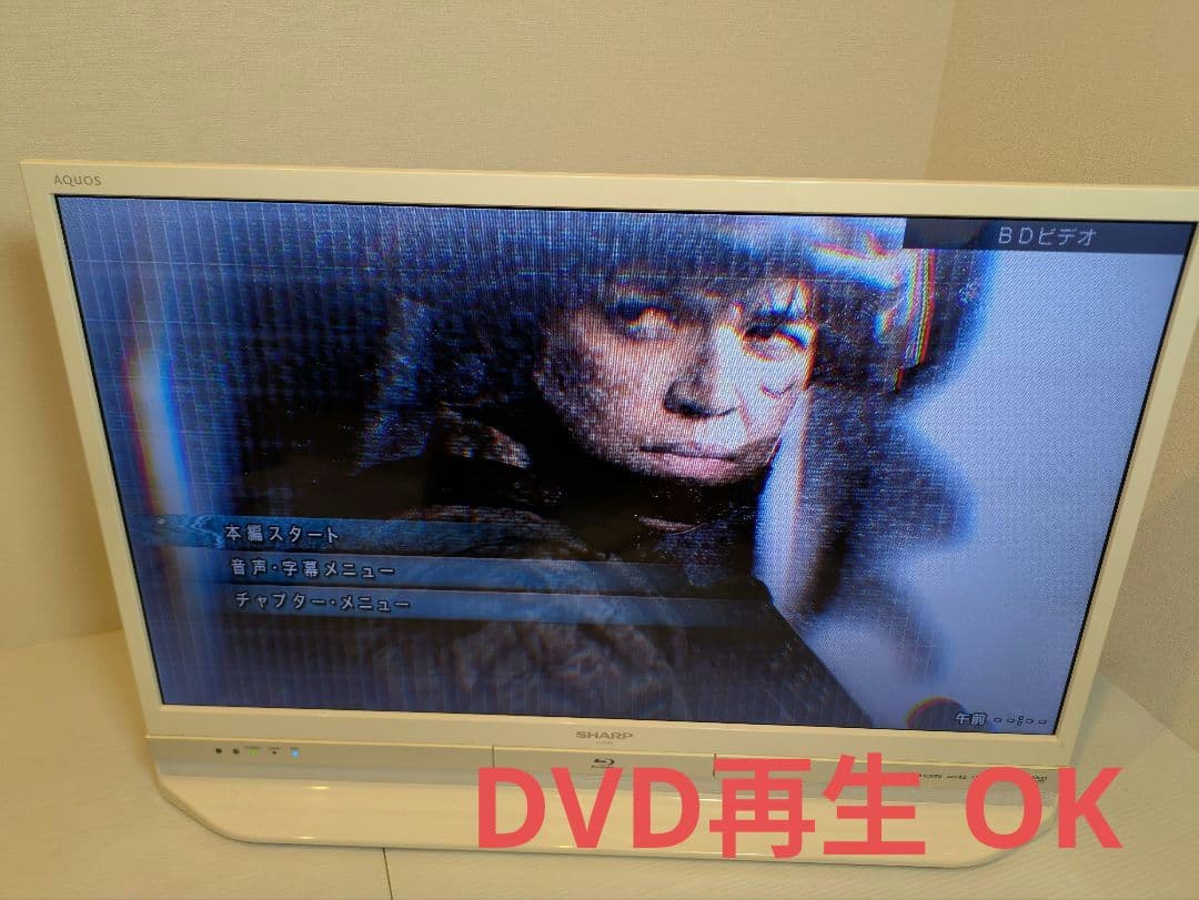 SHARP AQUOS Blu-ray HDD内蔵テレビ LC-32DR9