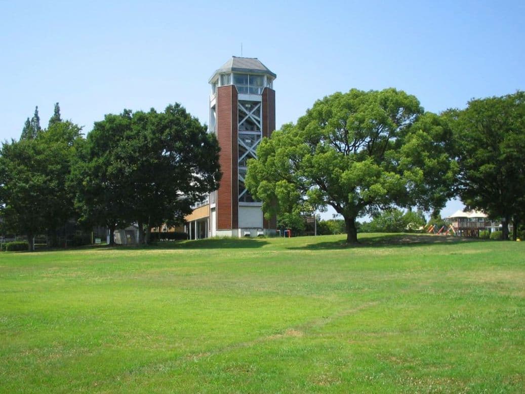 CANON IXY DIGITAL L　シルバー　希少