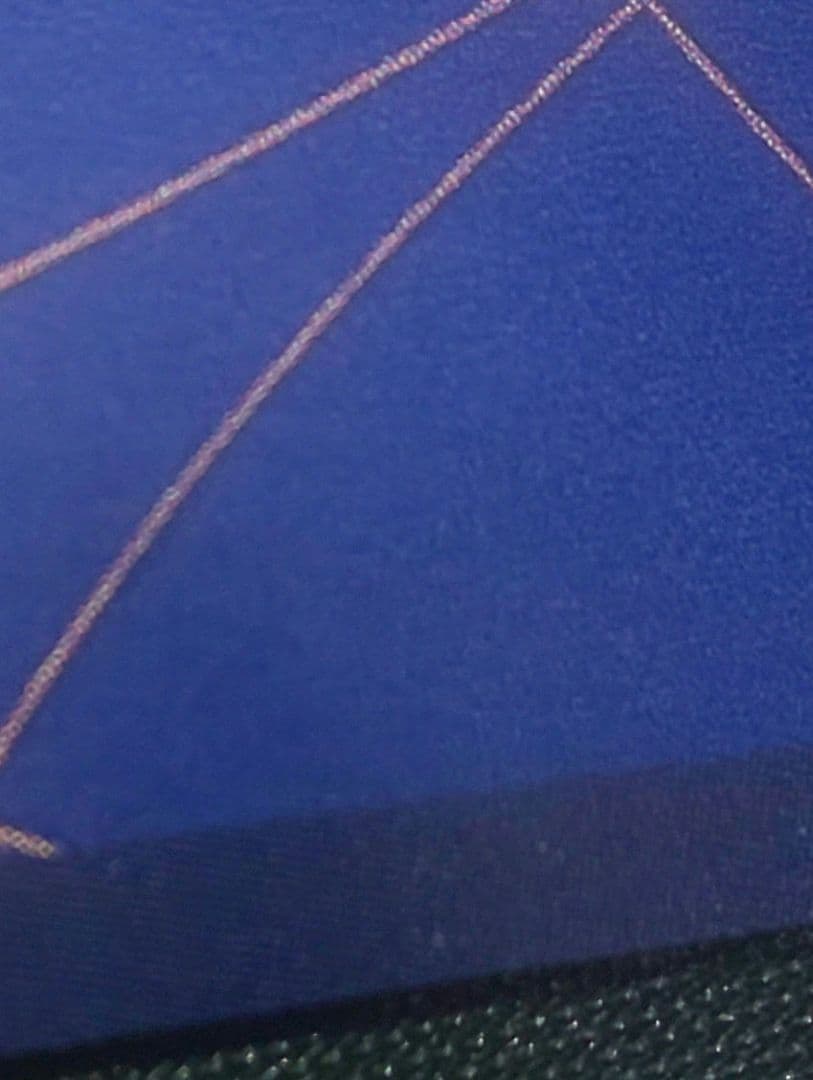 ワンピースカード ネフェルタリ・ビビ SP