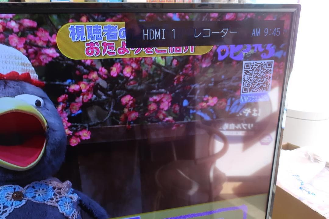 TOSHIBA REGZA 4K液晶テレビ 49C310X 2019年製