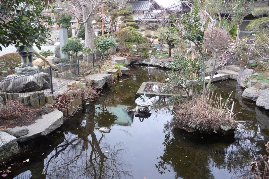 実写美⭕️良品【動作確認済】Panasonic LUMIX DMC-TZ5