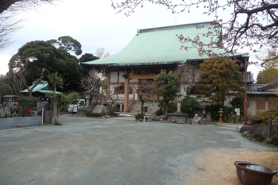 実写美⭕️良品【動作確認済】Panasonic LUMIX DMC-TZ5