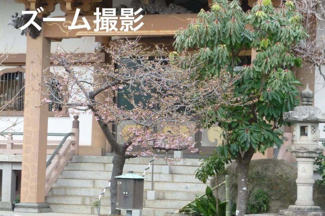 実写美⭕️良品【動作確認済】Panasonic LUMIX DMC-TZ5