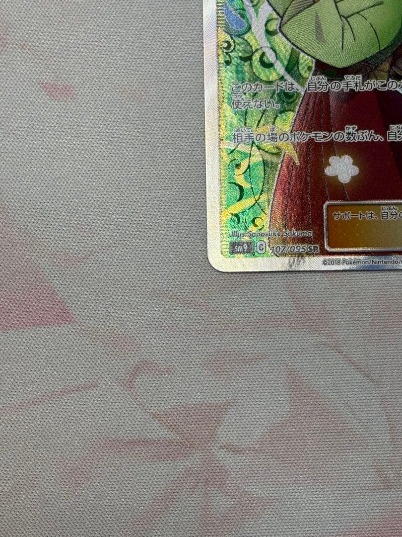 【週末限定価格】エリカのおもてなし　sm9 sr