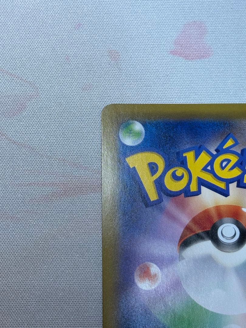 【週末限定価格】エリカのおもてなし　sm9 sr