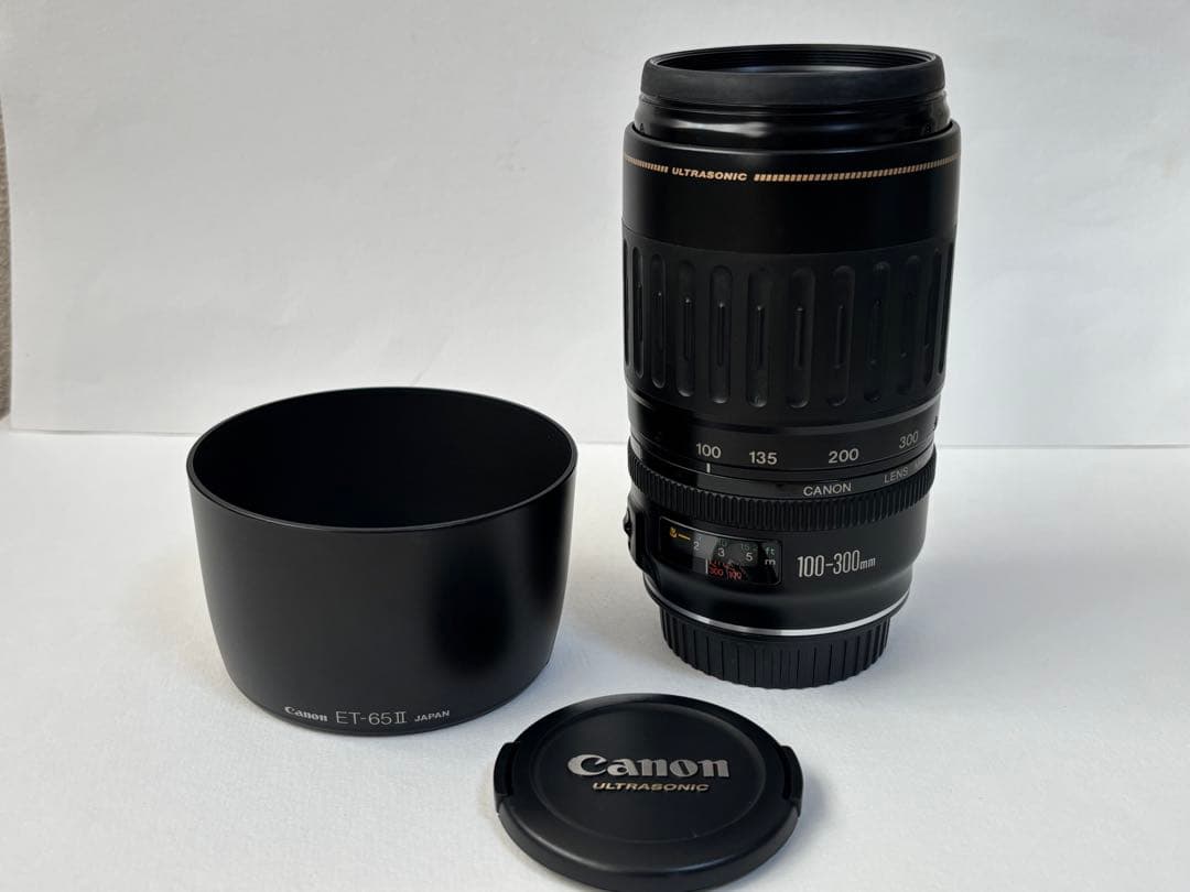 キヤノン Canon EF100-300mmF4.5-5.6 USM（訳あり）