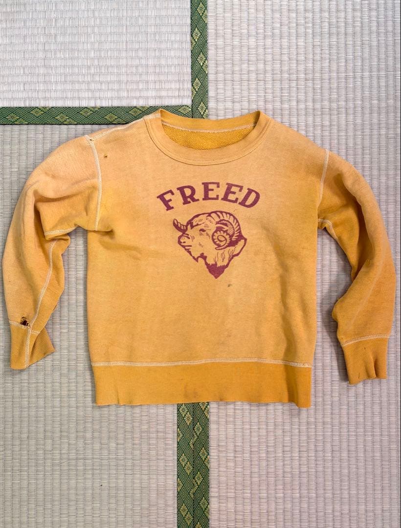 50s セットイン　ヴィンテージスウェット　freed
