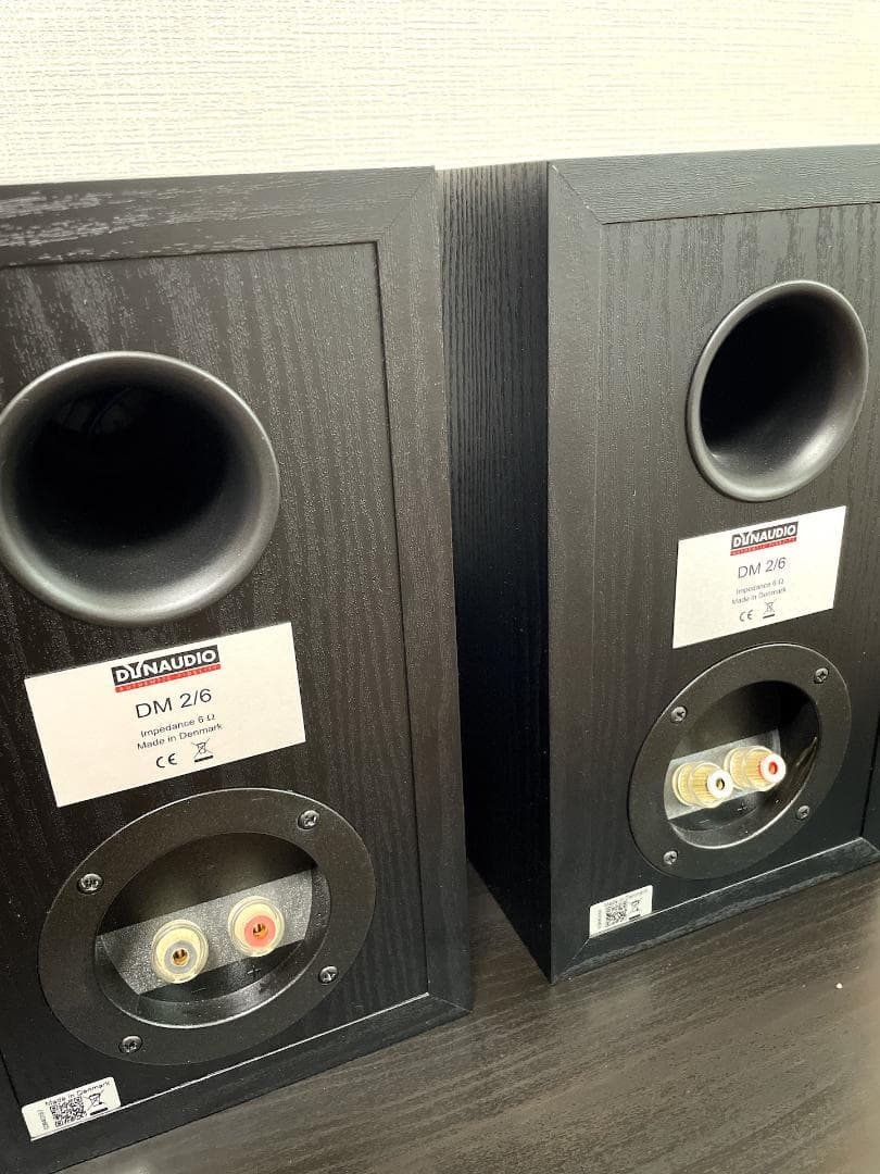 美品 DYNAUDIO ディナウディオ DM 2/6 スピーカー