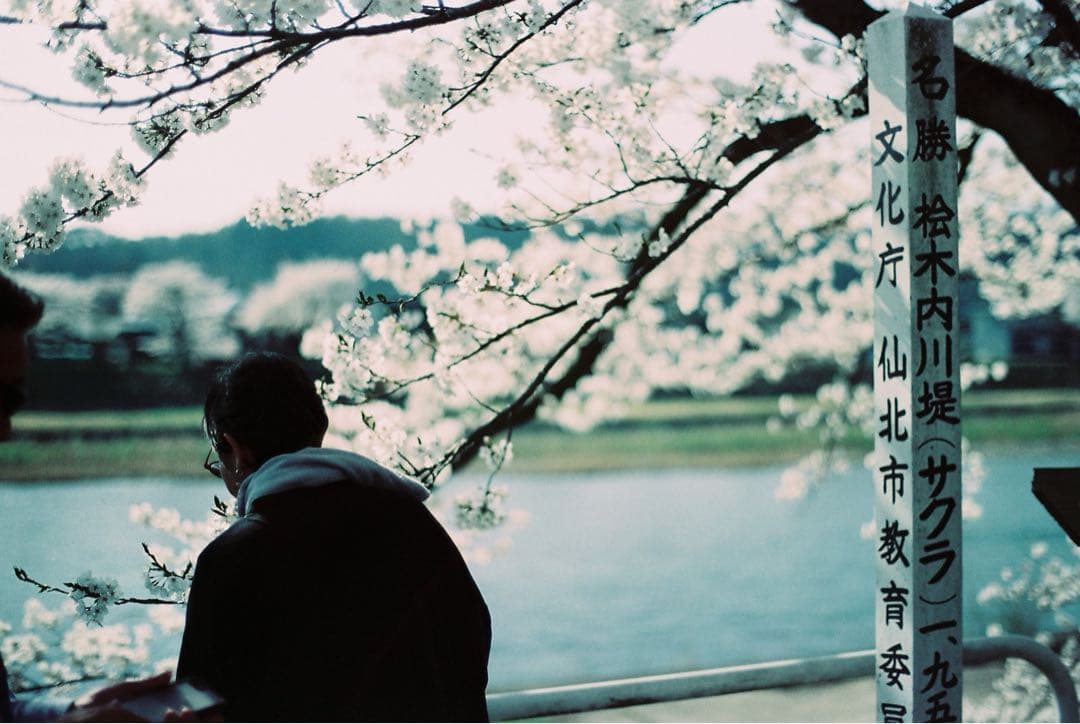 CNTAXT Aria 一眼レフフィルムカメラ Carl Zeissレンズ付き