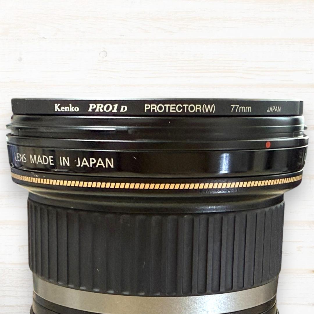 Canon 広角ズームレンズ EF-S 10-22mm USM #222
