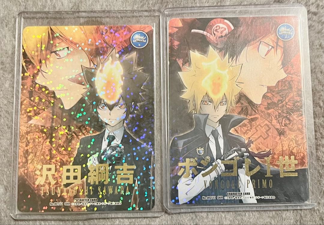 家庭教師ヒットマンREBORN CCG 沢田綱吉　ボンゴレI世　まとめ売り