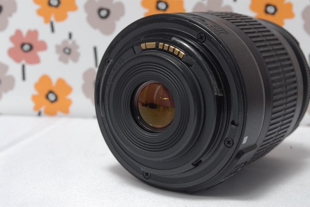 ❤Canon Kiss X80❤Wi-Fi搭載❤美品❤カメラバック付き❤簡単操作