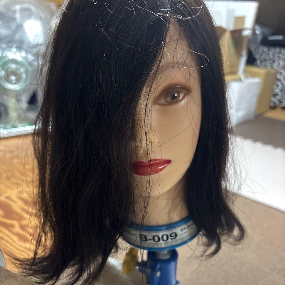 美容師実技試験用　カットマネキン　モデルウィッグ　5体セット