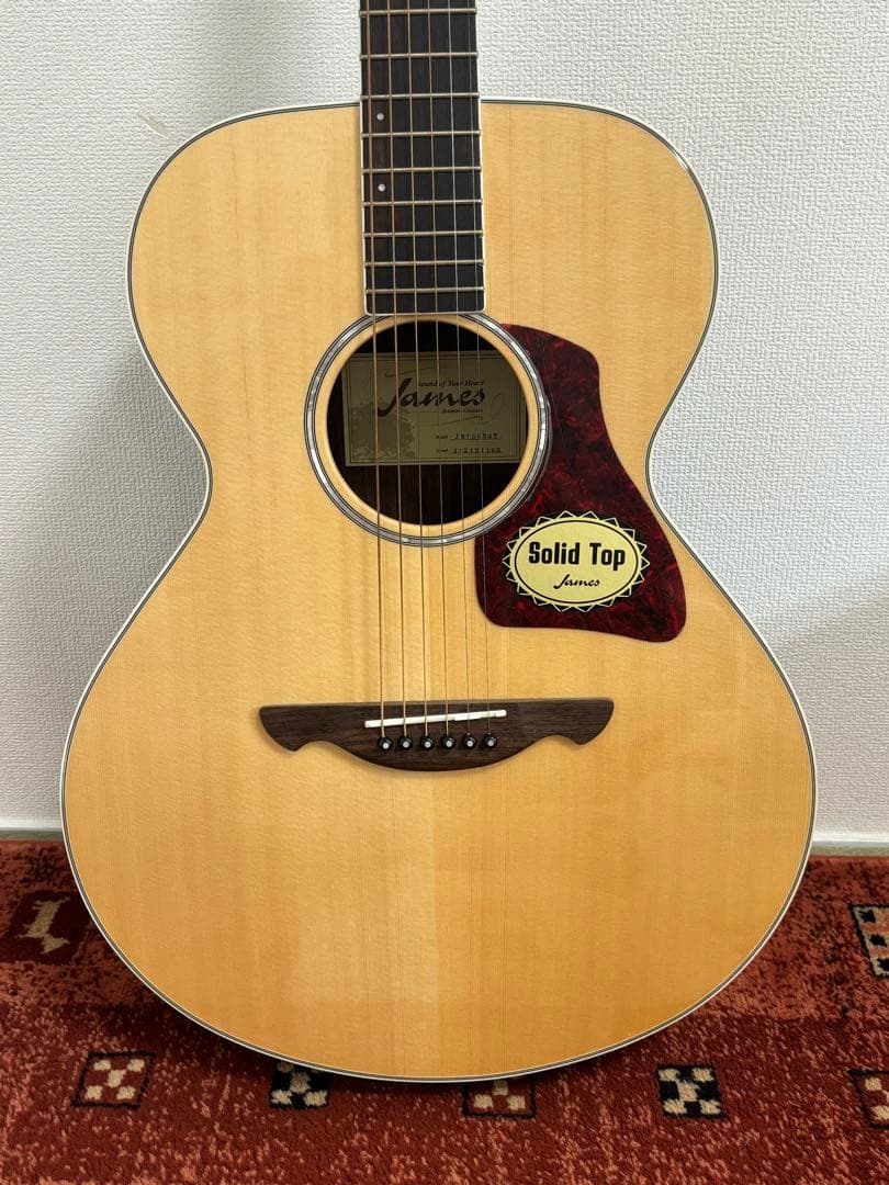 JAMES アコースティックギター JM750NAT