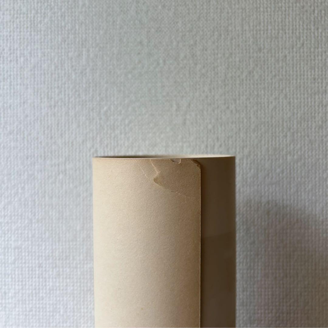 Charlotte Moorman Nam June Paik ポスター