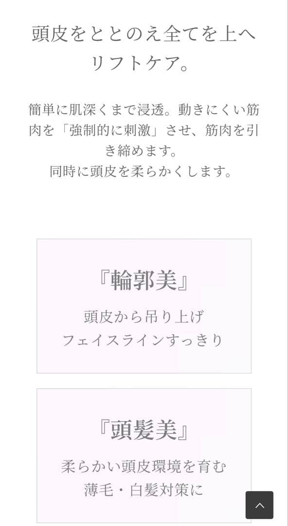 PYR-brush パイラブラッシュ (セラム付き) 正規品