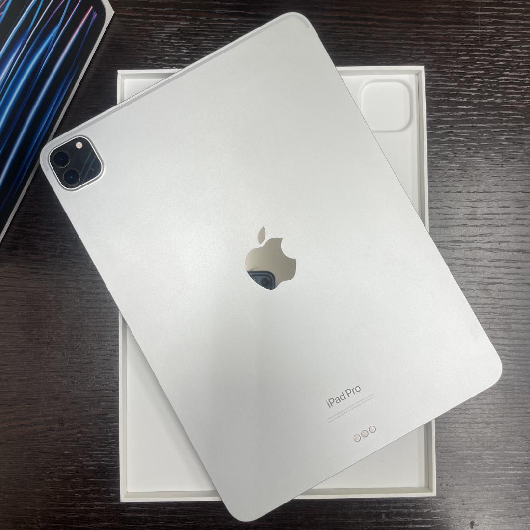 iPad Pro 11インチ 第4世代 Wi-Fi 256GB