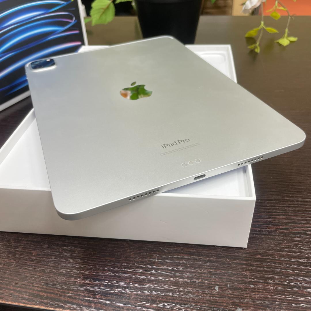 iPad Pro 11インチ 第4世代 Wi-Fi 256GB