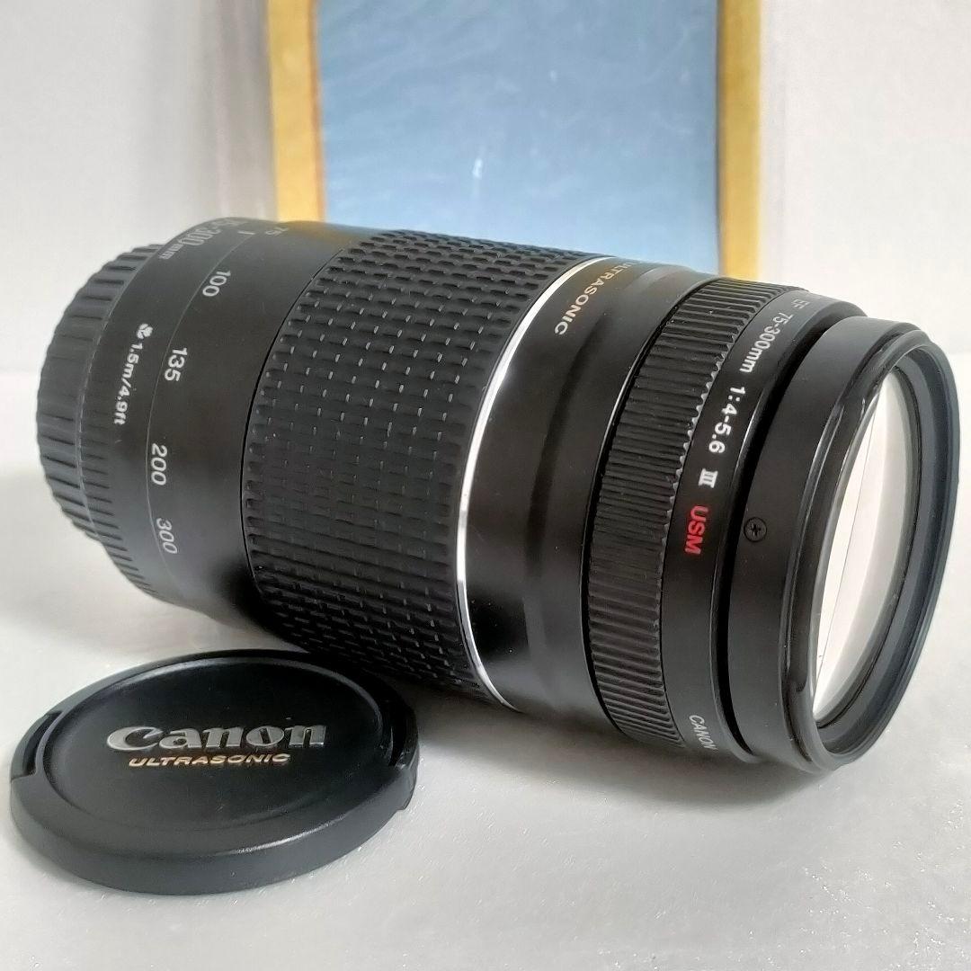 動作可！canon望遠レンズ♪75-300mm 一眼レフカメラの交換レンズ！