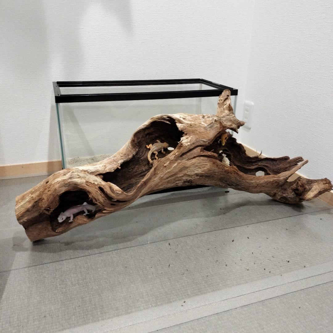 【No.901】超大型シェルター流木　爬虫類レイアウト✫