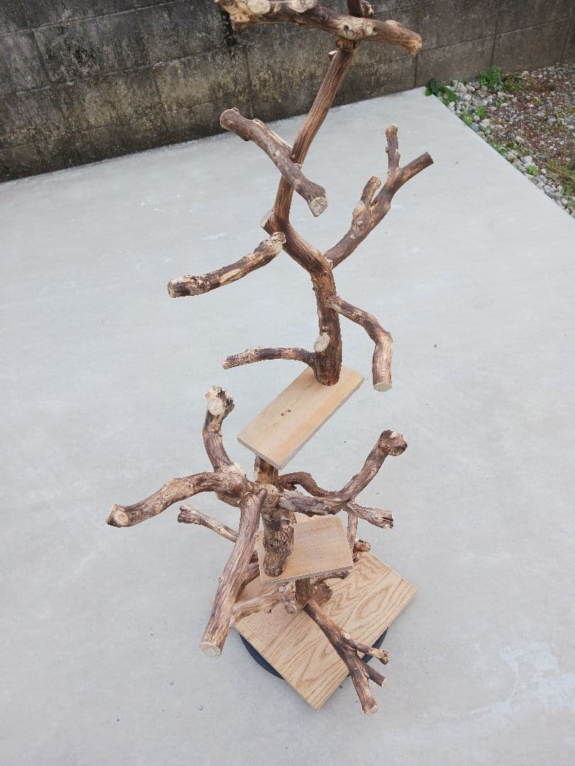 バードアスレチック バードアスレチックジム 止まり木、小鳥、流木(焼き入れ)