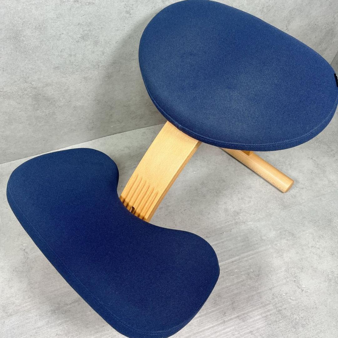 サカモトハウス Sakamoto バランスイージー balans Easy ネイ