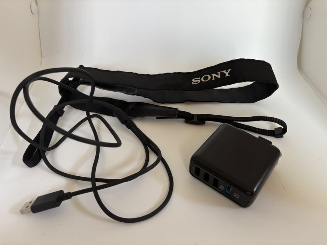 ソニーミラーレス一眼α6100＋カールツァイスズームレンズ SEL1670Z 他