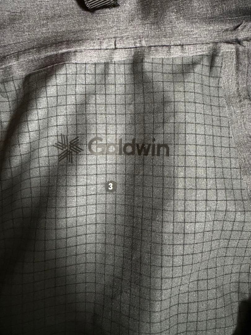 専用品 GOLDWIN GORE-TEX PRO Lサイズ マウンテンパーカー