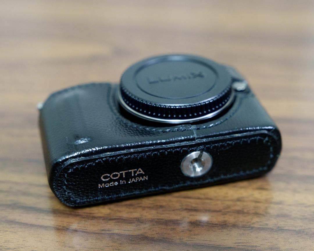 LUMIX GM1 / シャッター数 4901