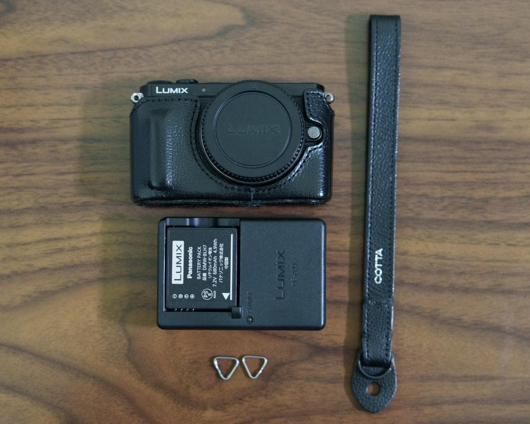 LUMIX GM1 / シャッター数 4901