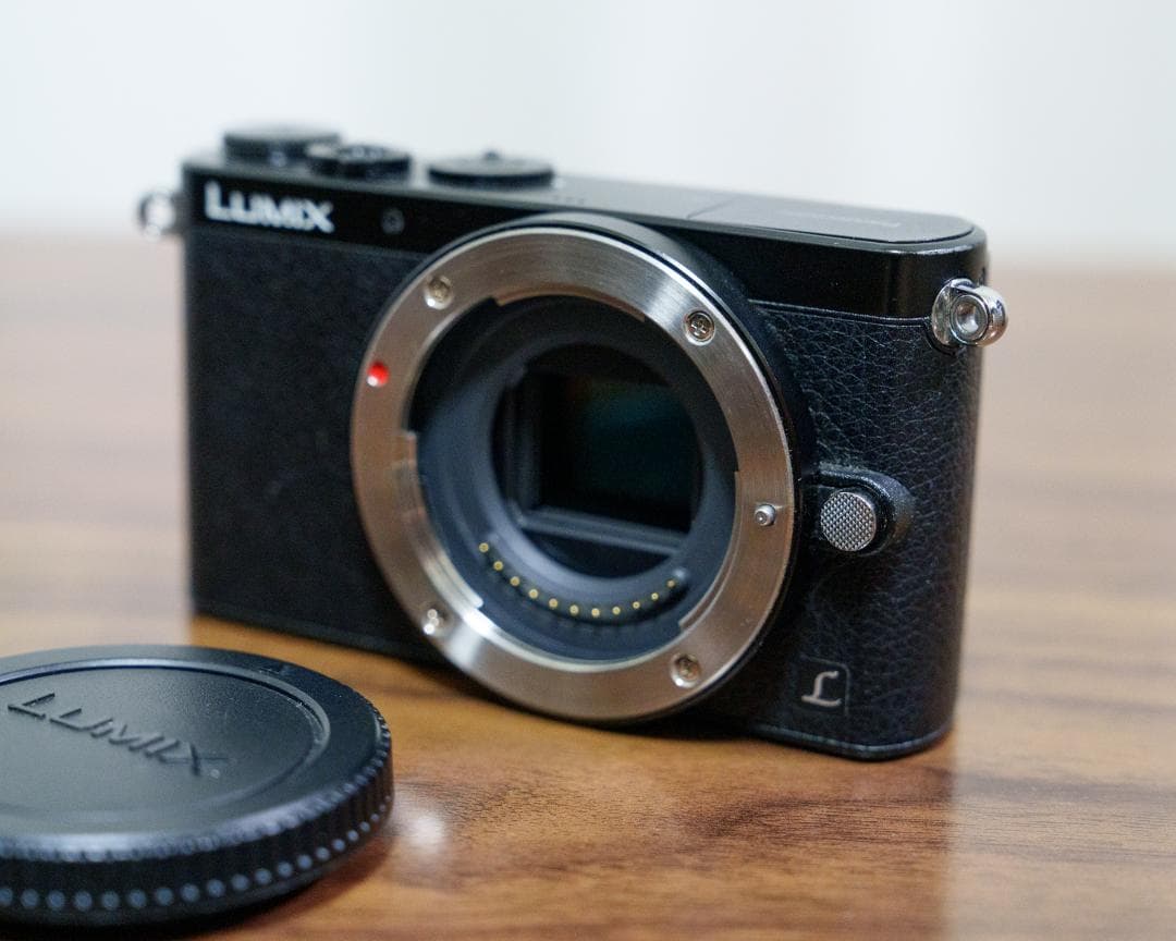 LUMIX GM1 / シャッター数 4901