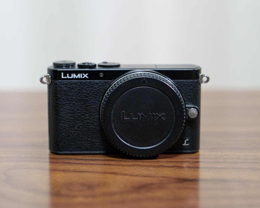 LUMIX GM1 / シャッター数 4901