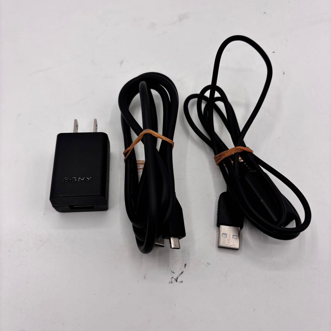 Sony Handycam ハンディカム HDR-CX470