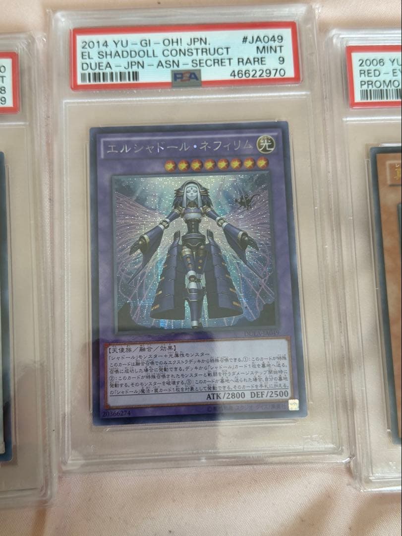 エルシャドール・ネフィリム　アジア版　シークレット　PSA8