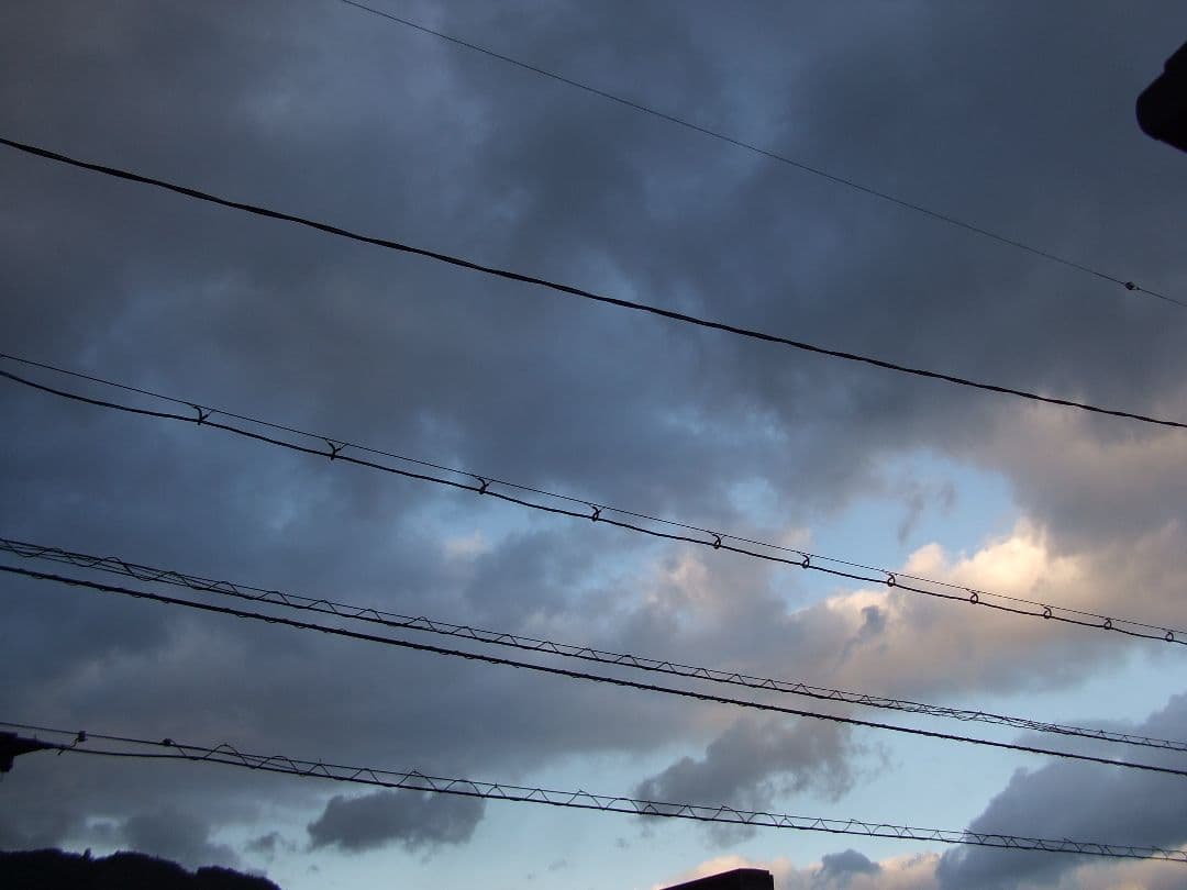 FUJIFILM Finepix A610 デジタルカメラ 動作確認済み