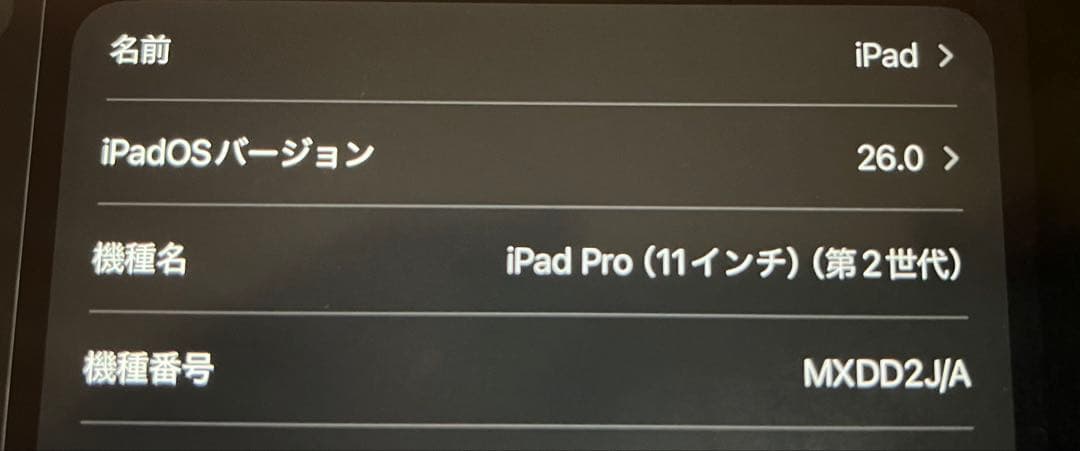 iPad Pro 11インチ(第2世代) Wi-Fi 256GB