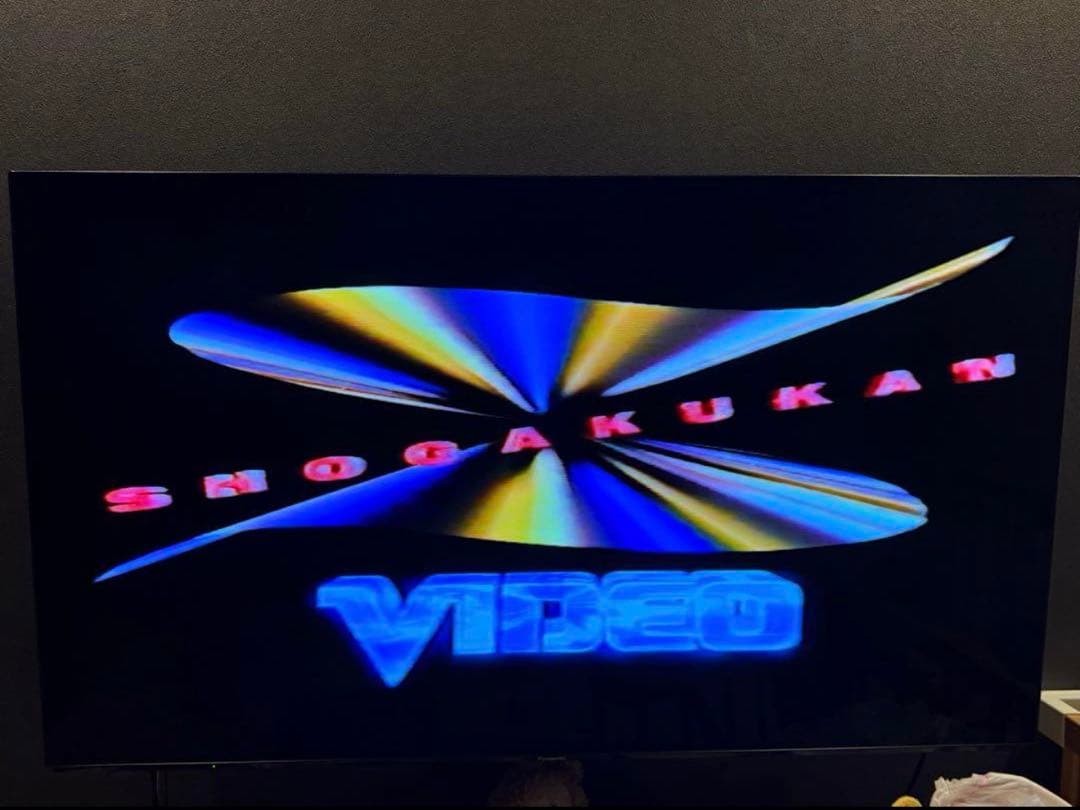 【ダビング動作確認済】HDD内蔵VHS DVDレコーダー DVHR-V160