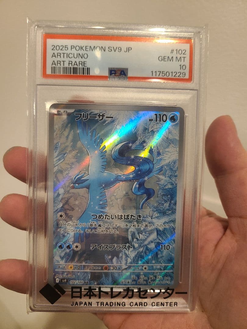 ガラルの仲間たち などなど写真全て