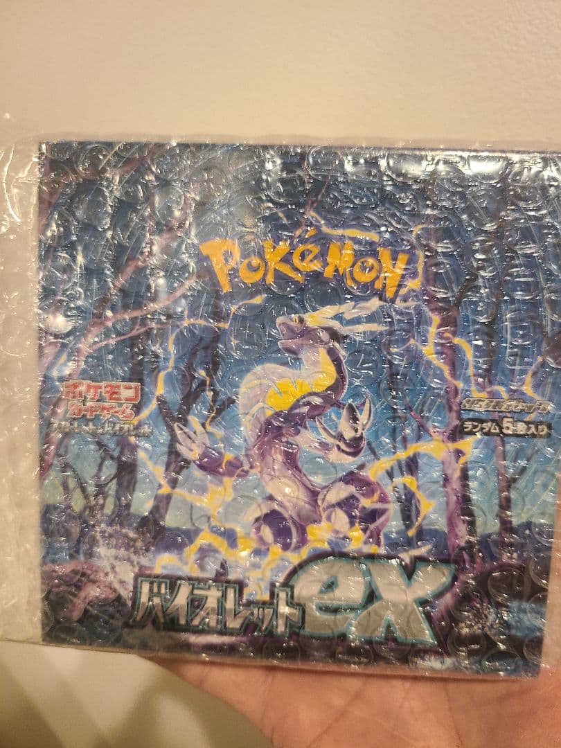 ガラルの仲間たち などなど写真全て