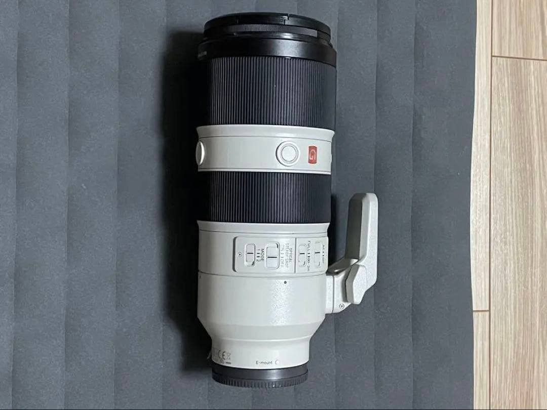 【ボボ】SONY FE70-200mm F2.8GM OSS