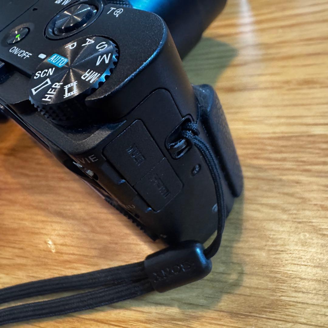 SONY RX100 V 純正充電器バッテリー ケース