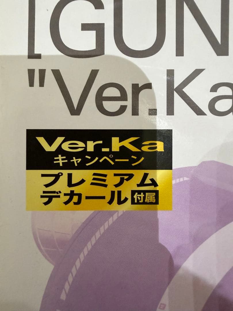 MG 1/100 高機動型ザク“サイコ・ザク” Ver.Ka サンダーボルト版