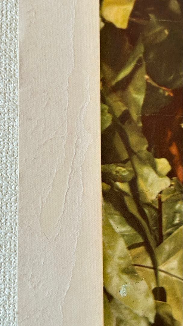 ユナイテッド航空ビンテージ オリジナルポスター United Airlines