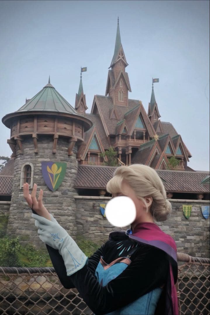 エルサ 戴冠式 ウィッグ