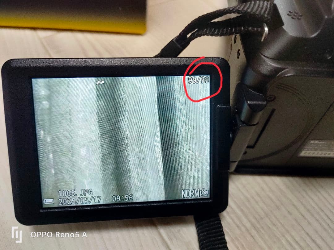 NIKON COOLPIX P950 撮影可能枚数：100 枚