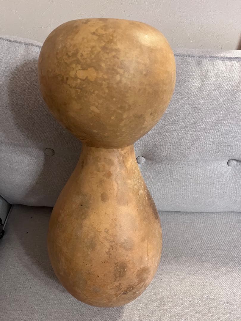 イプヘケ　艶なし　50cm 新品　ハワイ直輸入